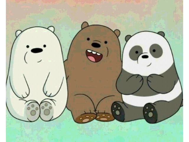 Qual urso você seria?