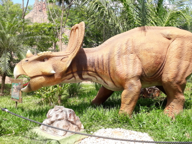 Triceratops