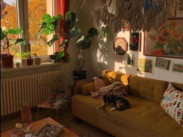 Escolha entre as imagens e diremos seu aesthetic