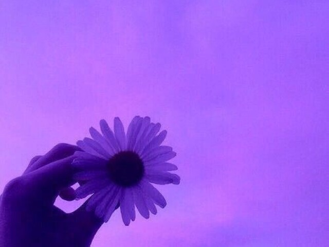 Roxo