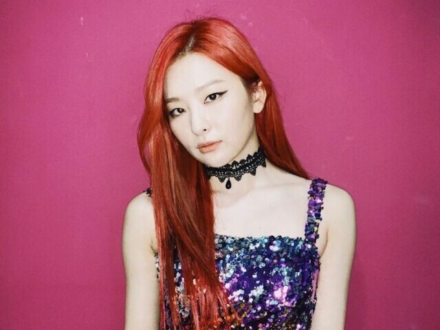 ❣️Seulgi❣️