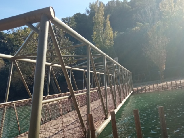 Bicar no nadar no lago em um piquenique e tirar grades foto