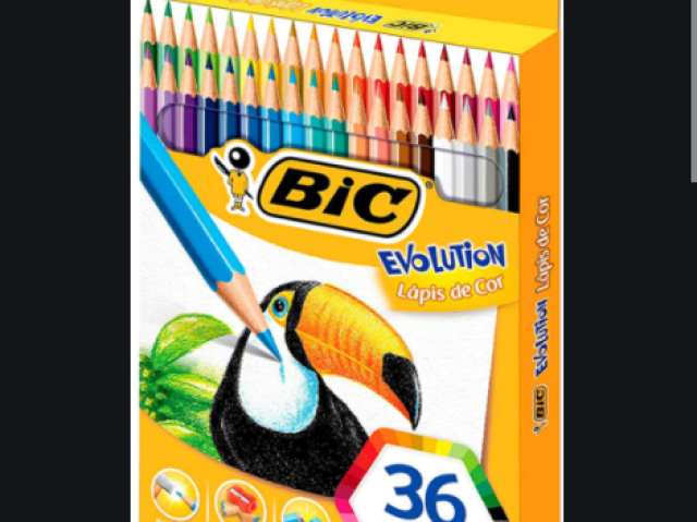 bic e bom