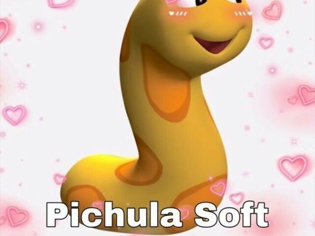 pichula soft