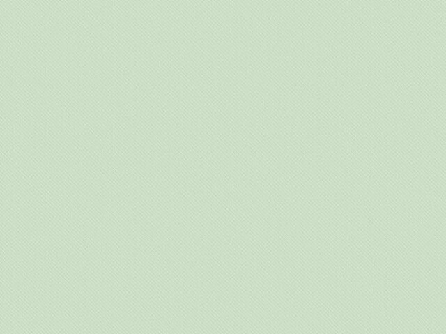 Verde limão🎋