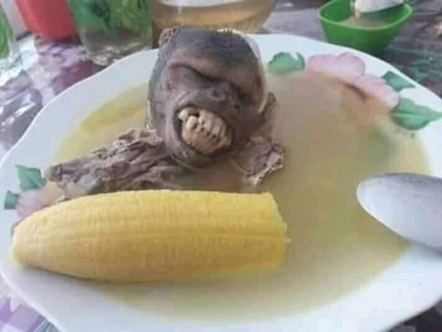 sopa de macaco