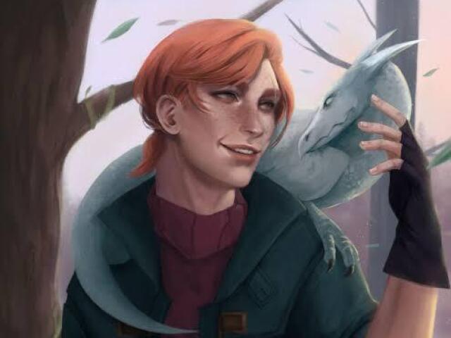 Carlinhos Weasley