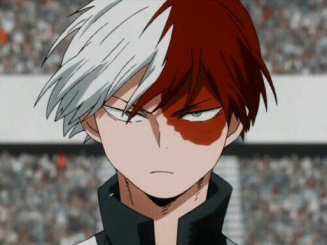 Shoto todoroki