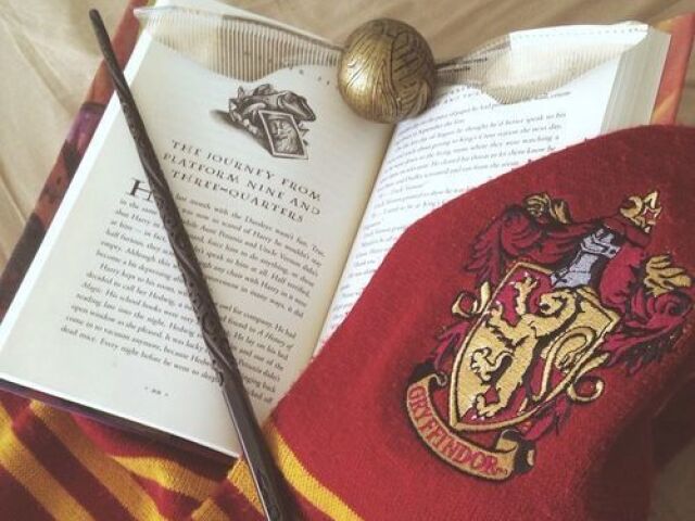 Gryffindor!!📌