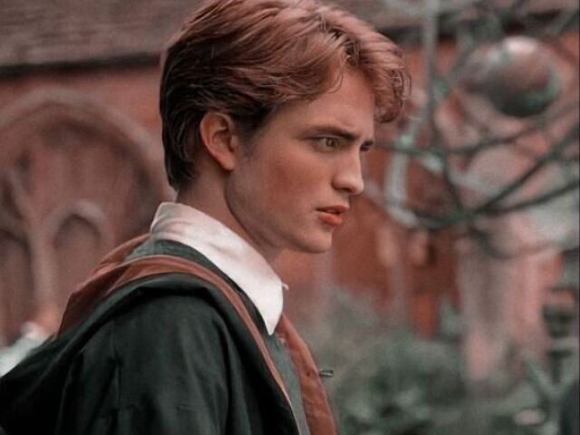O Quanto você conhece Cedrico Diggory