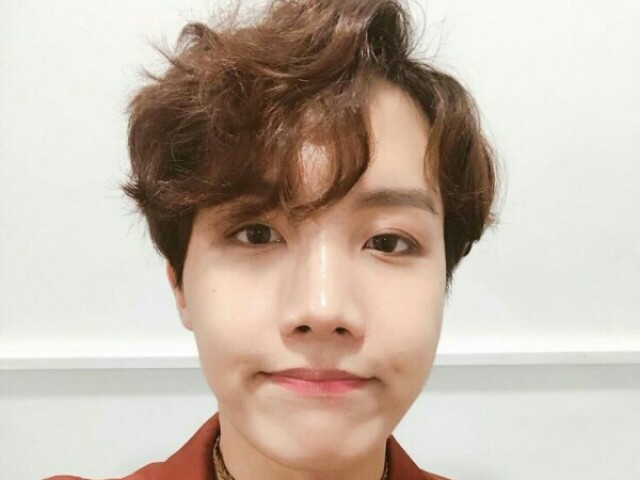 Hobi