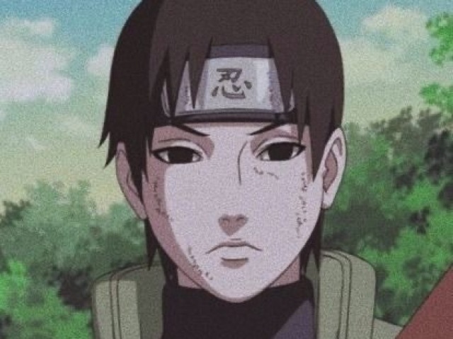 Sai