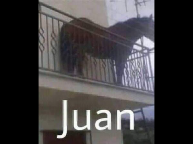 Juan