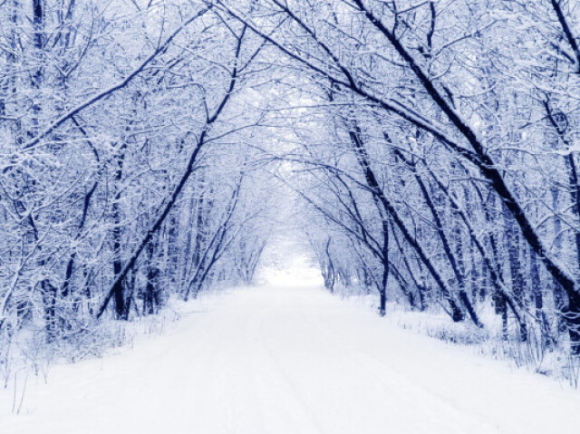 inverno