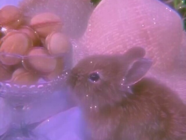 πrosa/roxo