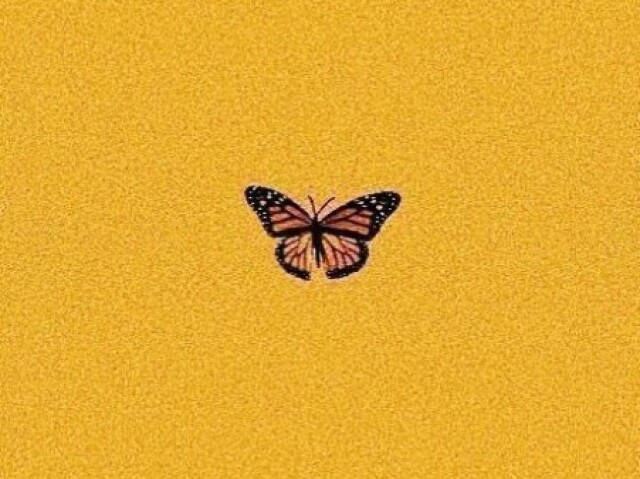 πlaranja/amarelo