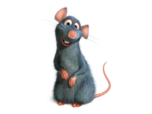 Ratatouille