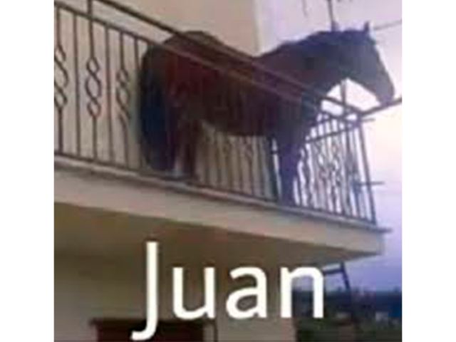 juan