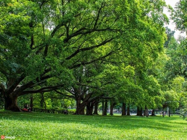 Parque ----> Era um pique-nique