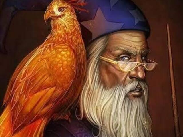 Alvo Dumbledore