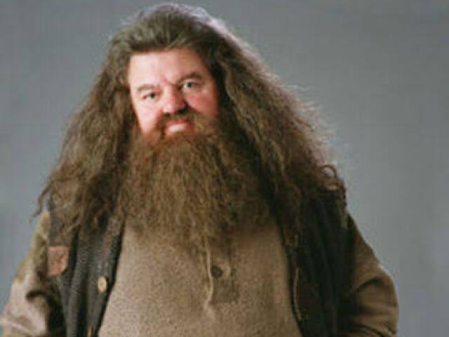 Rubeo Hagrid