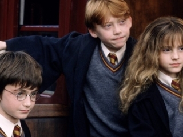 Você gosta de Harry Potter?