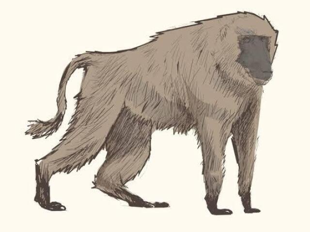 Estilo macaco
