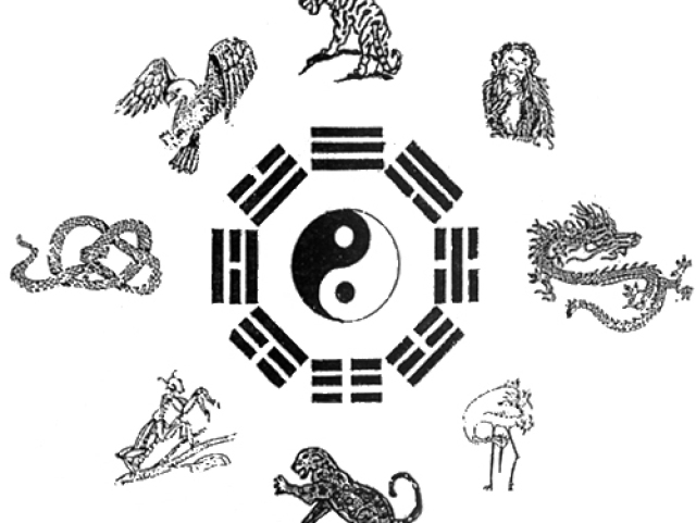 Qual dos estilos do Kung fu animais é o melhor para você?