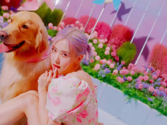 •Rosé