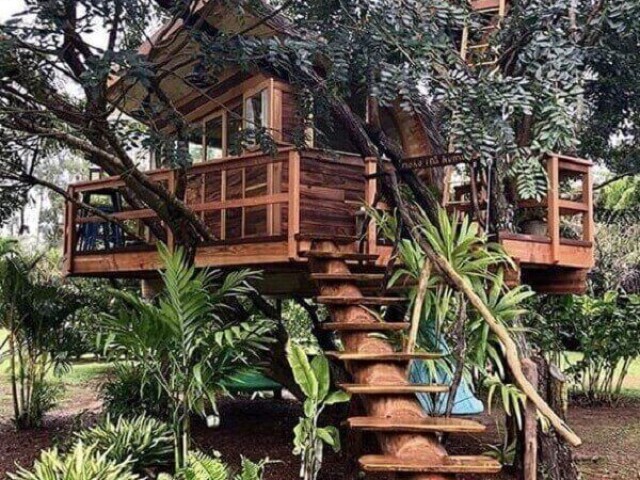 Monte sua casa na árvore🌿🌳