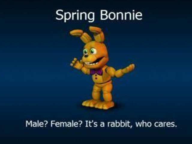 7. Springbonnie