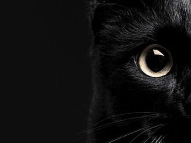 Preto =3