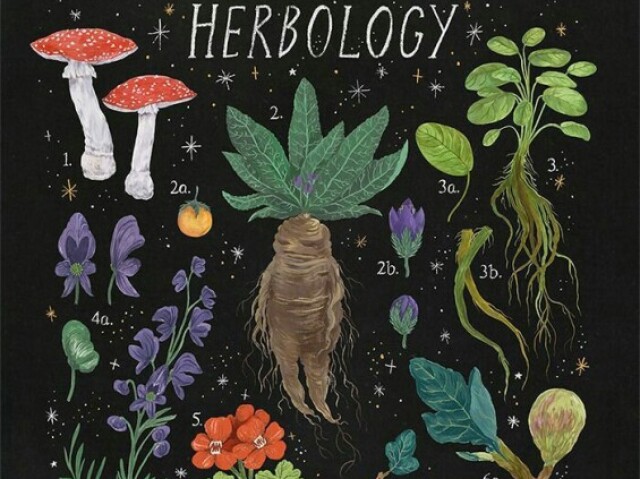 herbologia