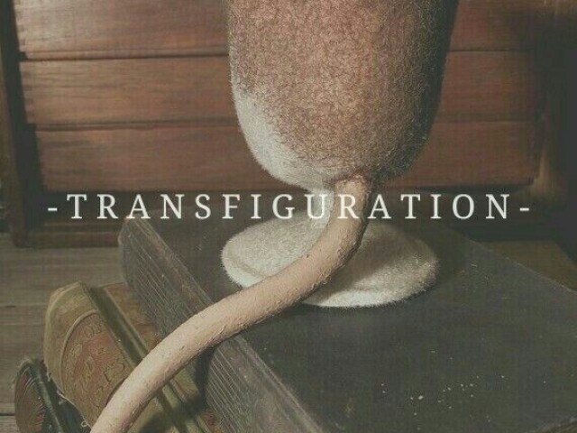 transfiguração