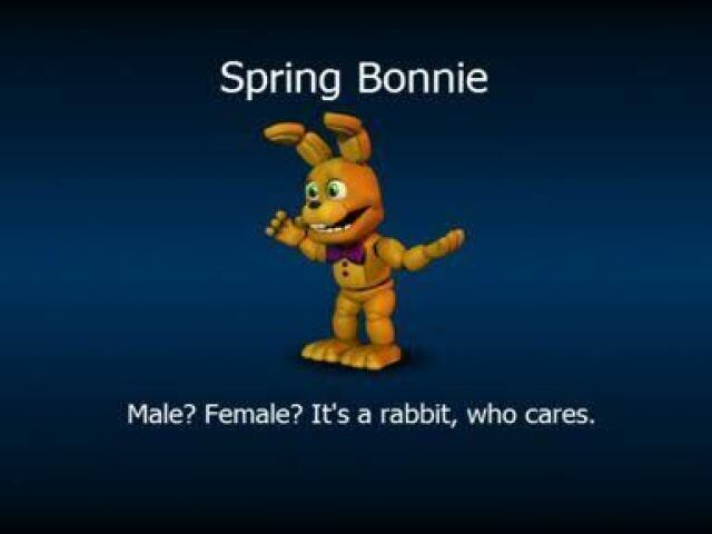 Springbonnie