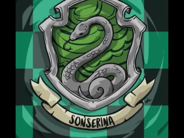 Sonserina 💚