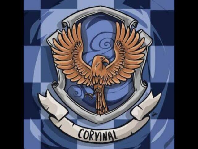 Corvinal 💙