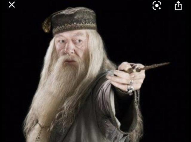 Albus Dumbledore