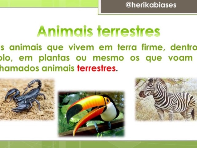 Animais terrestres