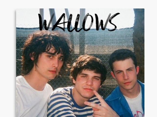 Wallows