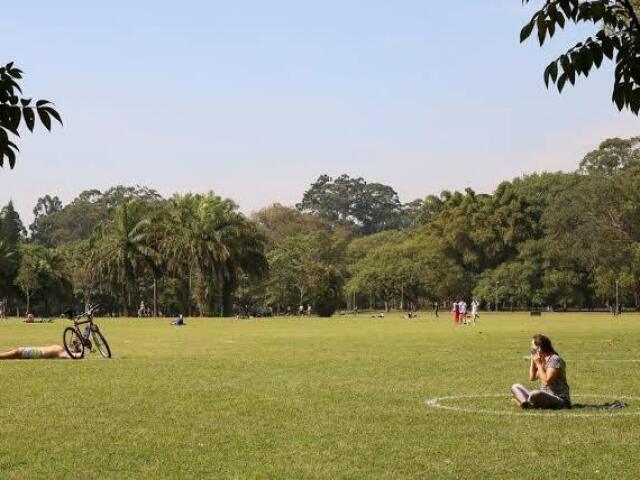 Piquenique no parque