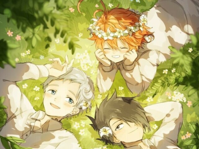 The promised neverland