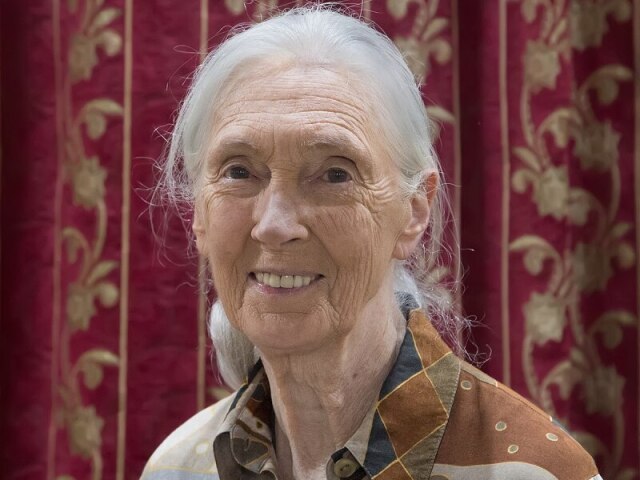 Jane Goodall