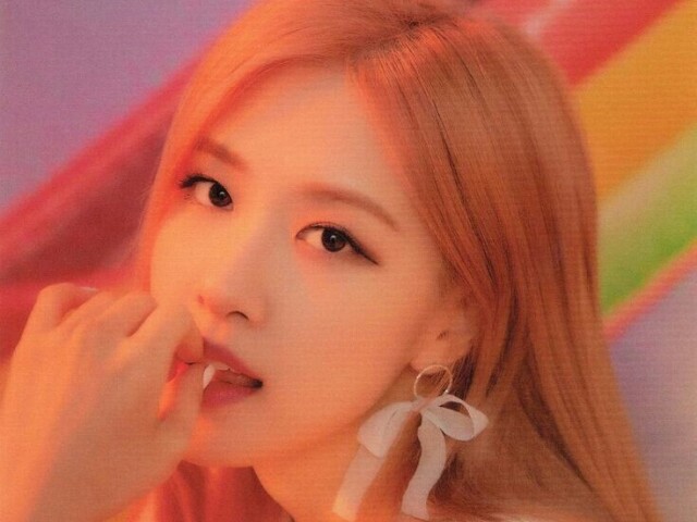 Rosé