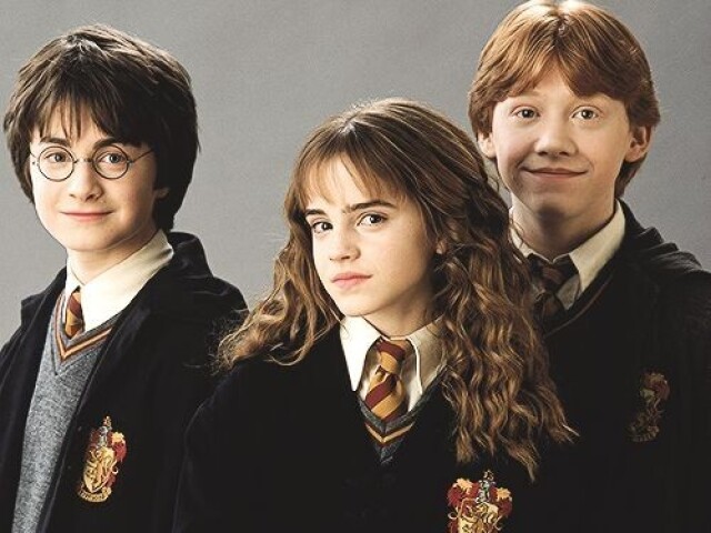 Quem você seria da saga Harry Potter?