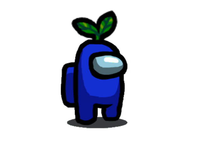 CHAPÉU DE PLANTA! 🌱