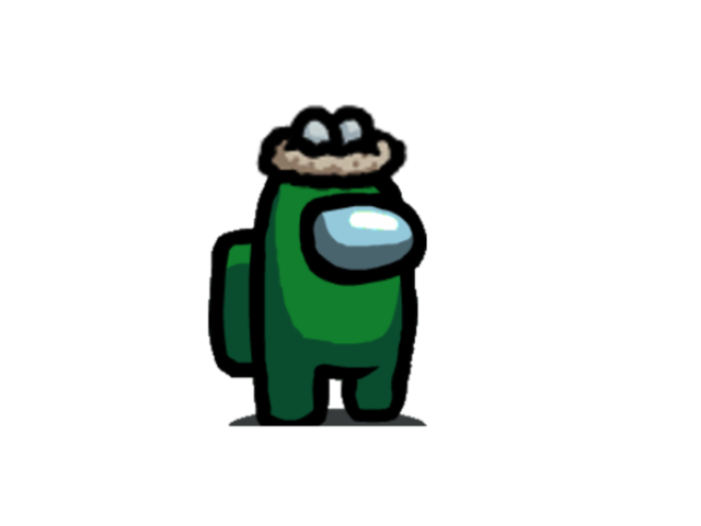 CHAPÉU DE NINHO! 🐣