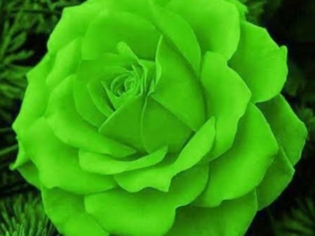 Flores Verdes