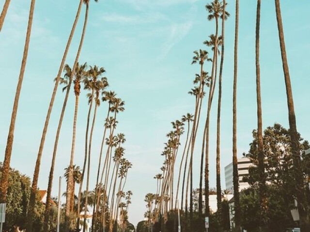 Los Angeles ( Califórnia)💫