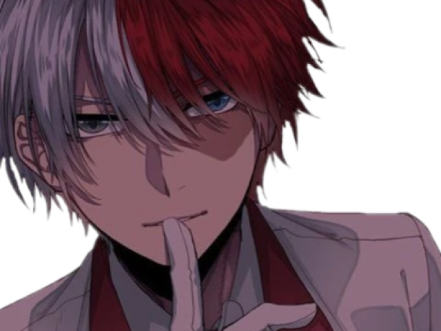 O que você seria do herói Shoto Todoroki?